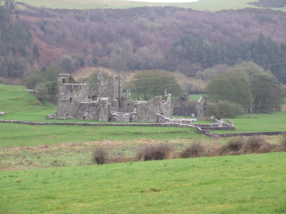 Mullaghmeen Forest Муллингар Экстерьер фото